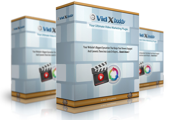 VidX Buddy Product Box